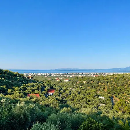 Sea View And Olive Trees Каламата